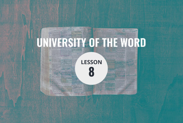 Lesson 08 — The Family Principle